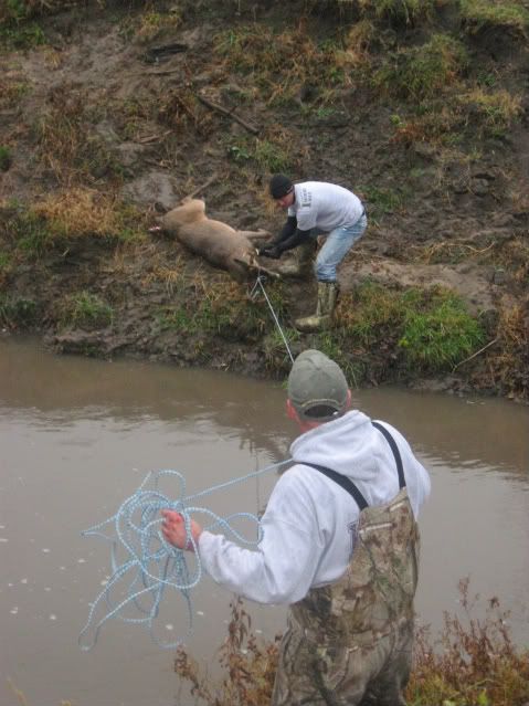 Creek2.jpg