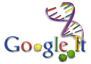 Google Logog 416