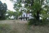 Haunted house inside scary jungle