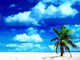 blue sky holiday wallpaper