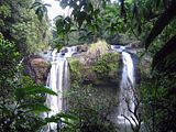 Forest waterfall