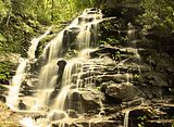 Golden Waterfall in Forest