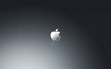 Apple or Apple Logo Wallpaper 10