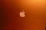 Apple or Apple Logo Wallpaper 31
