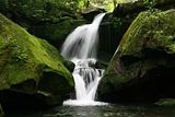 Waterfall Between Rocks in Forest