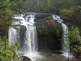 Huge Waterfall in Forest