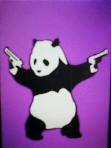 Funny Enjoi Panda