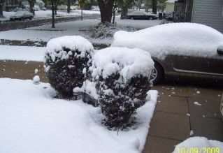 Oct 10 snow