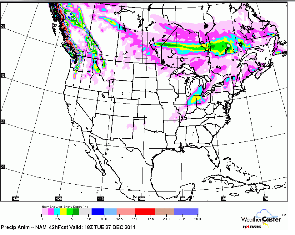 0zNAMSnowForecast.png