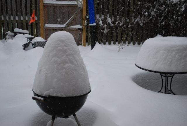 DSC_0055.jpg