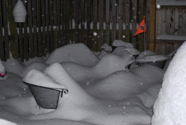 DSC_0064.jpg