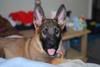 DSC_0116.jpg