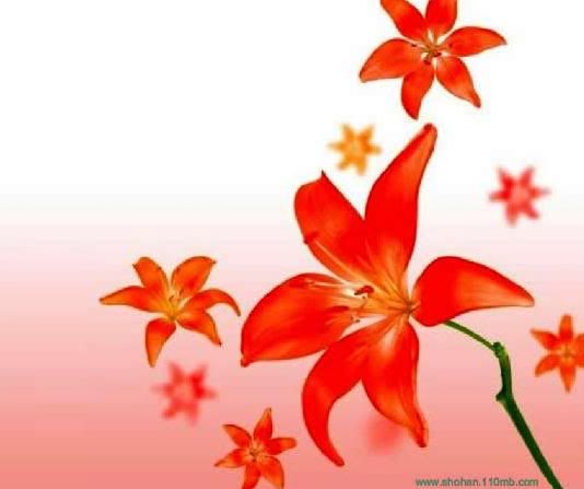 Flower myspace comments