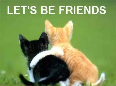 Friend Photo Picture