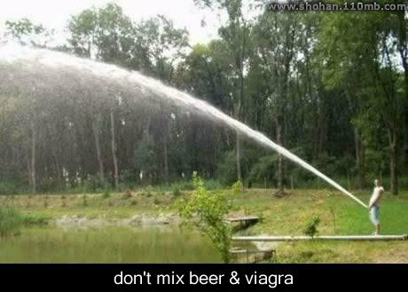 Funny Photo Picture