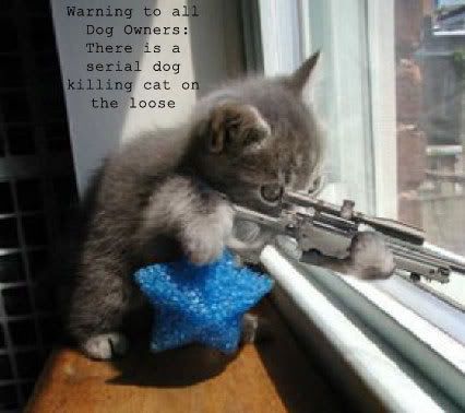 Funny Picture Books on Funny Pictures Funny Photos Funny Images Funny Graphics Funny Pics