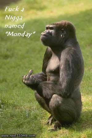 Monday Photo Picture