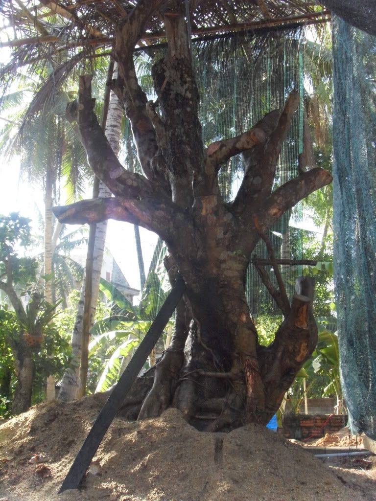 SDC14225.jpg SDC14225.jpg
