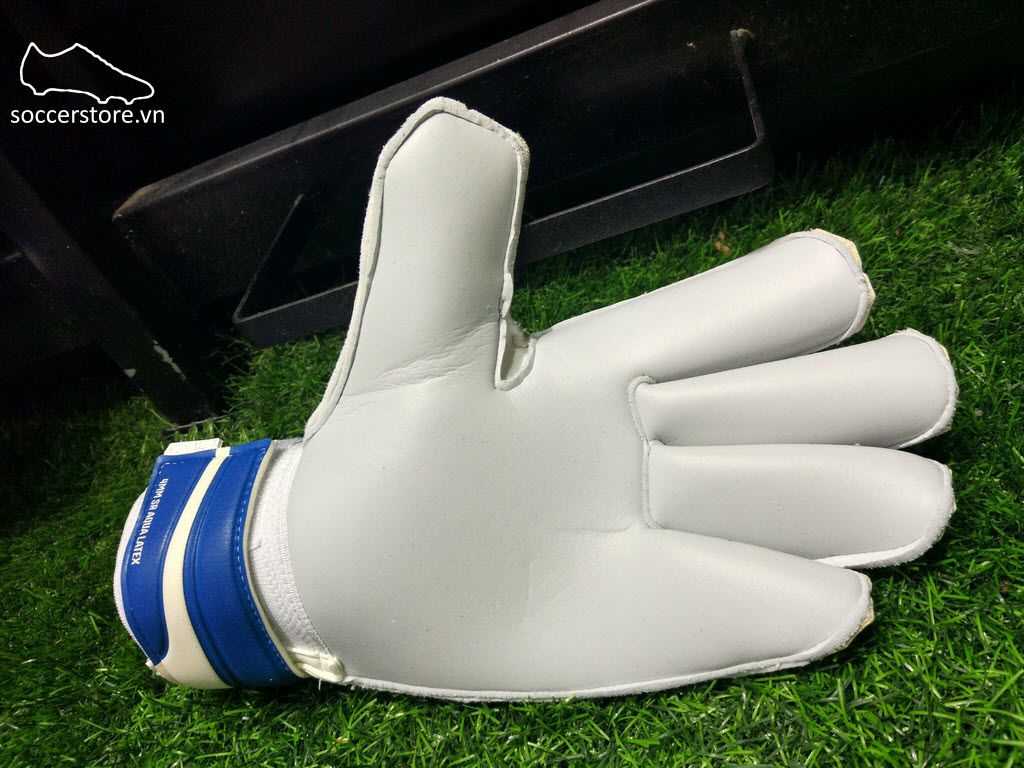 Puma evoPOWER 2.3 Aqua- Aqua Blue/ Blue GK Gloves