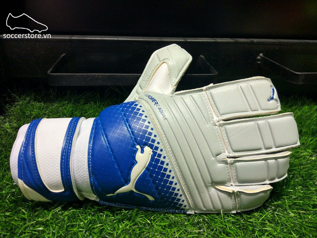 Puma evoPOWER 2.3 Aqua- Aqua Blue/ Blue GK Gloves