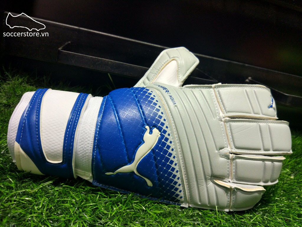 Puma evoPOWER 2.3 Aqua- Aqua Blue/ Blue GK Gloves