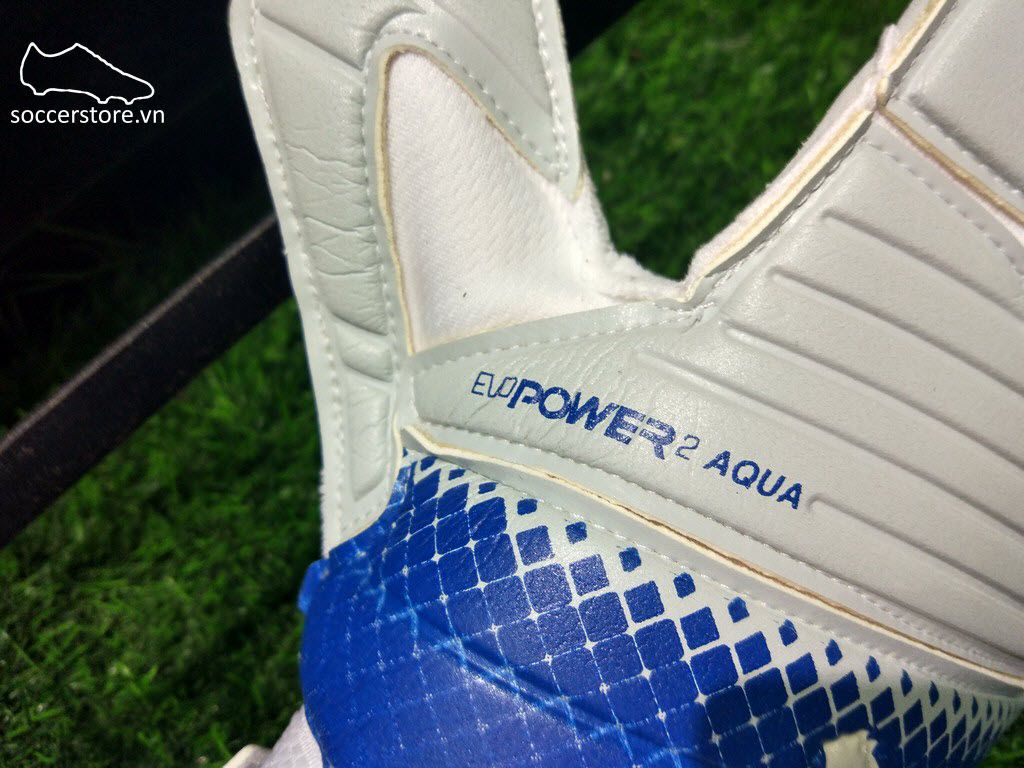 Puma evoPOWER 2.3 Aqua- Aqua Blue/ Blue GK Gloves