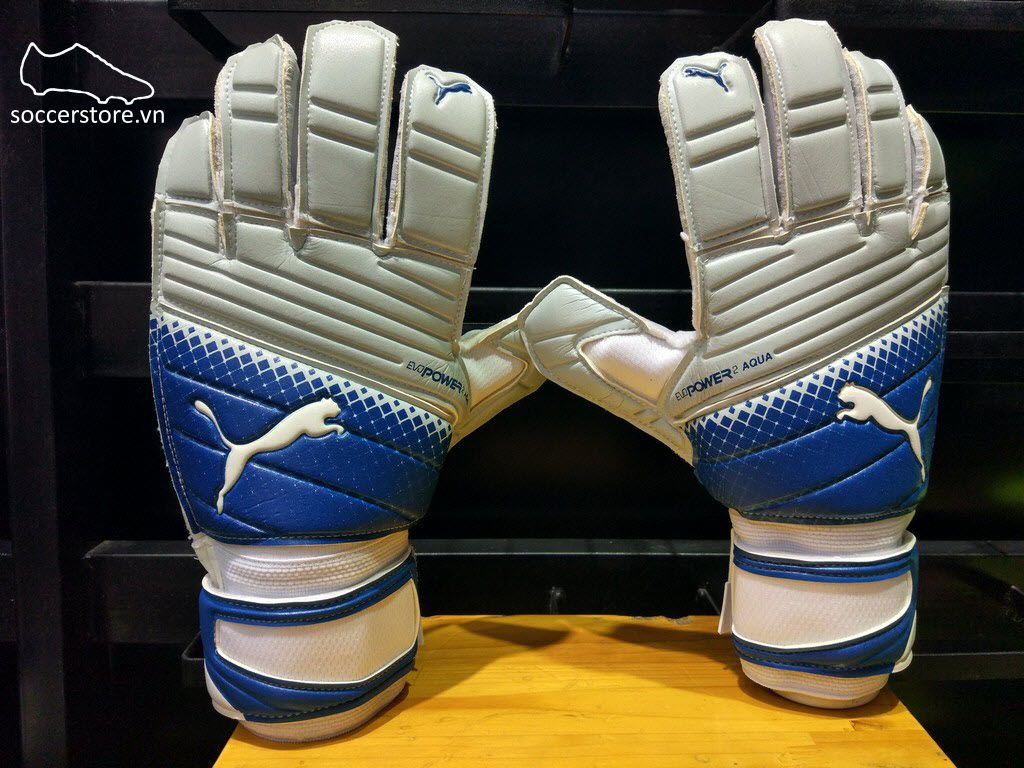 Puma evoPOWER 2.3 Aqua- Aqua Blue/ Blue GK Gloves