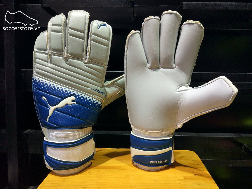 Puma evoPOWER 2.3 Aqua- Aqua Blue/ Blue GK Gloves