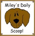 Miley's Daily Scoop