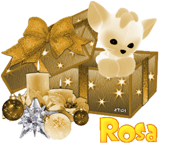 rosaCATYELLOW2010.gif