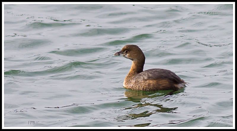 IMAGE: http://i568.photobucket.com/albums/ss130/rutlian/1201_untitled_056-Edit.jpg