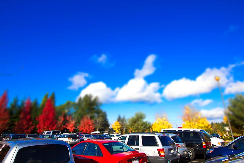 IMAGE: http://i568.photobucket.com/albums/ss130/rutlian/IMG_0709-tiltshift.jpg