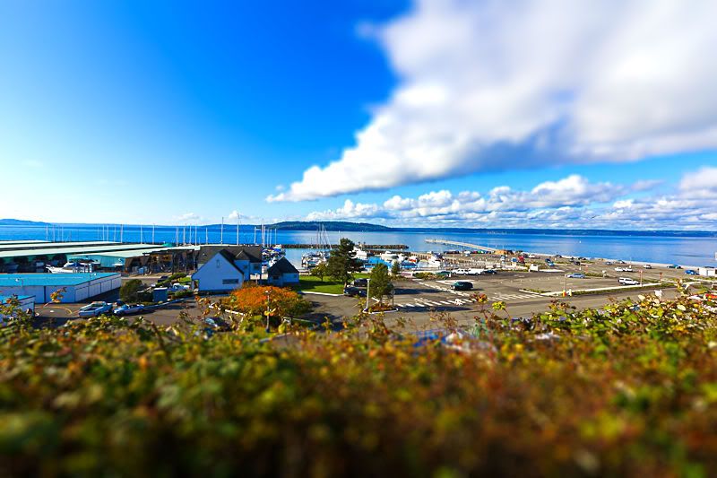 IMAGE: http://i568.photobucket.com/albums/ss130/rutlian/IMG_0716-tiltshift1.jpg