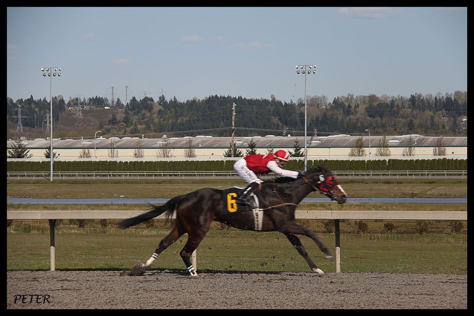 IMAGE: http://i568.photobucket.com/albums/ss130/rutlian/IMG_1724.jpg