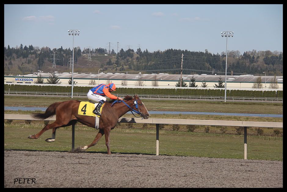 IMAGE: http://i568.photobucket.com/albums/ss130/rutlian/IMG_1725.jpg