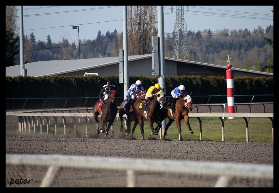 IMAGE: http://i568.photobucket.com/albums/ss130/rutlian/IMG_1807-1.jpg