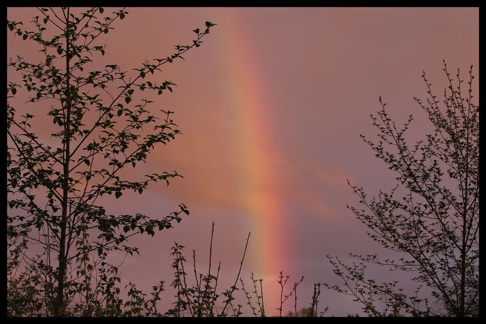 IMAGE: http://i568.photobucket.com/albums/ss130/rutlian/IMG_1957.jpg