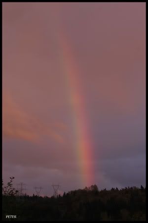 IMAGE: http://i568.photobucket.com/albums/ss130/rutlian/IMG_1958.jpg