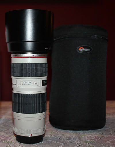 IMAGE: http://i568.photobucket.com/albums/ss130/rutlian/IMG_1991.jpg