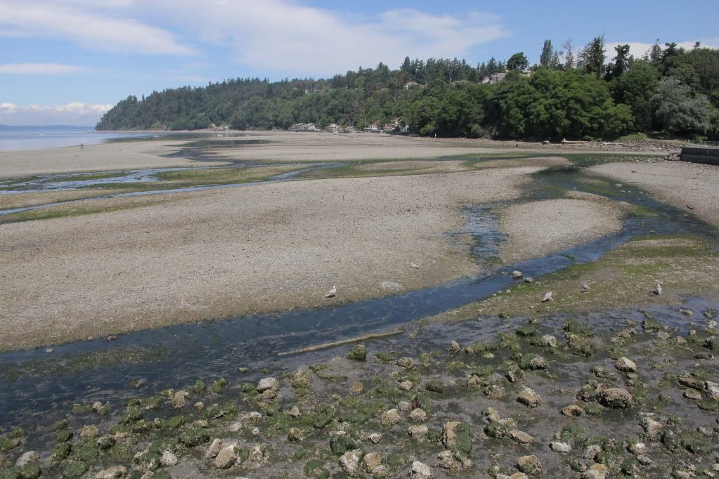 IMAGE: http://i568.photobucket.com/albums/ss130/rutlian/IMG_3490-1.jpg