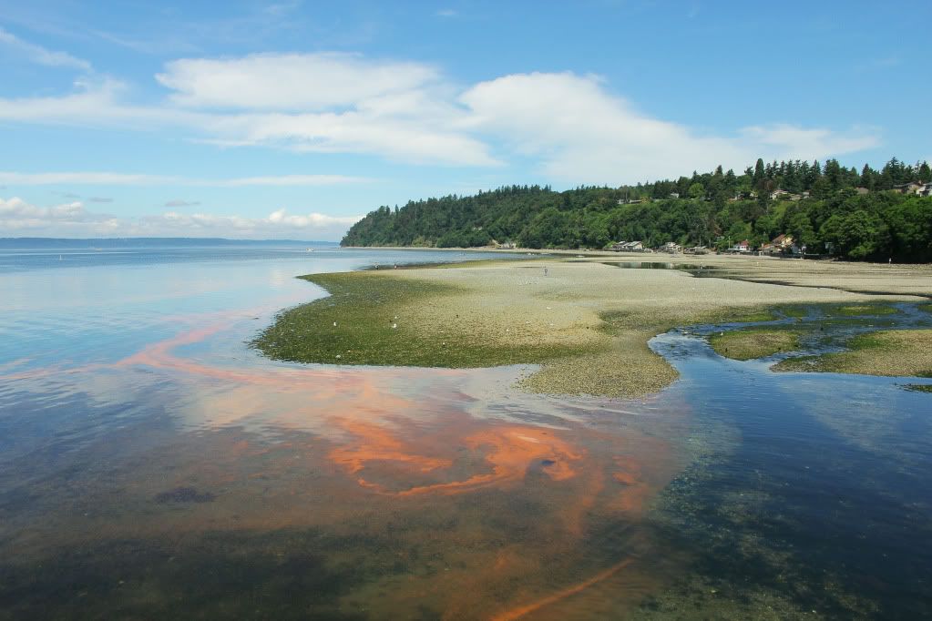 IMAGE: http://i568.photobucket.com/albums/ss130/rutlian/IMG_3496.jpg