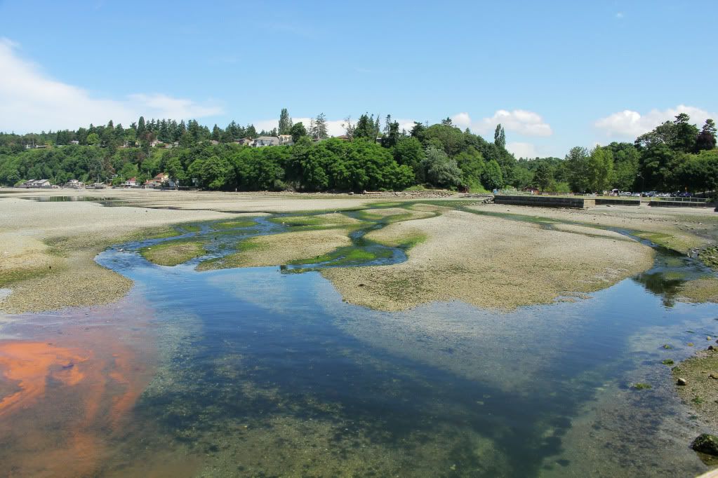 IMAGE: http://i568.photobucket.com/albums/ss130/rutlian/IMG_3497.jpg