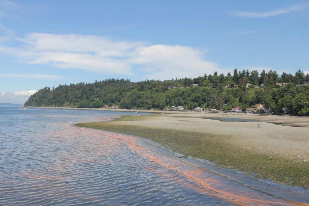 IMAGE: http://i568.photobucket.com/albums/ss130/rutlian/IMG_3505.jpg