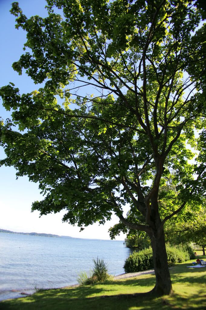 IMAGE: http://i568.photobucket.com/albums/ss130/rutlian/IMG_3546.jpg