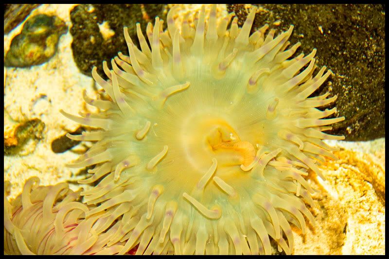 IMAGE: http://i568.photobucket.com/albums/ss130/rutlian/IMG_5735.jpg