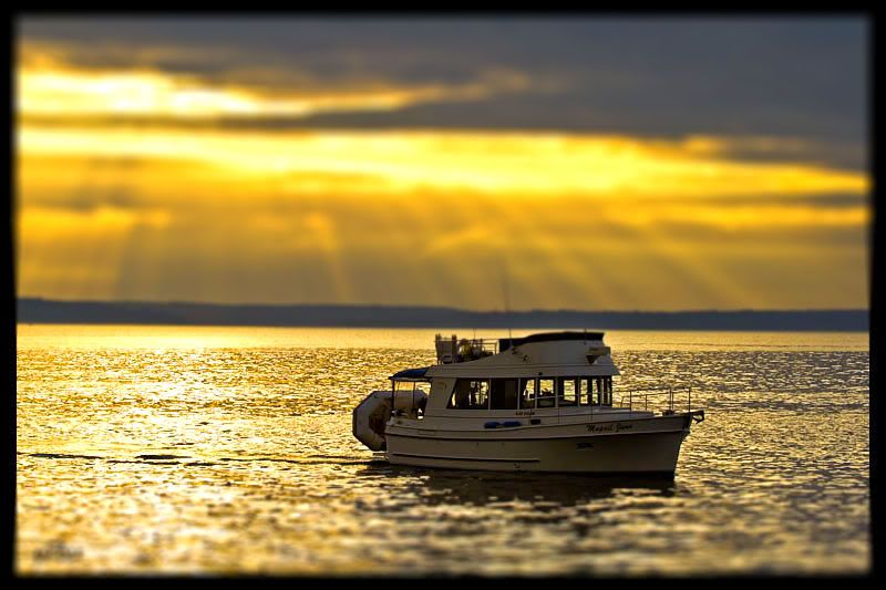 IMAGE: http://i568.photobucket.com/albums/ss130/rutlian/IMG_7592-tiltshift.jpg