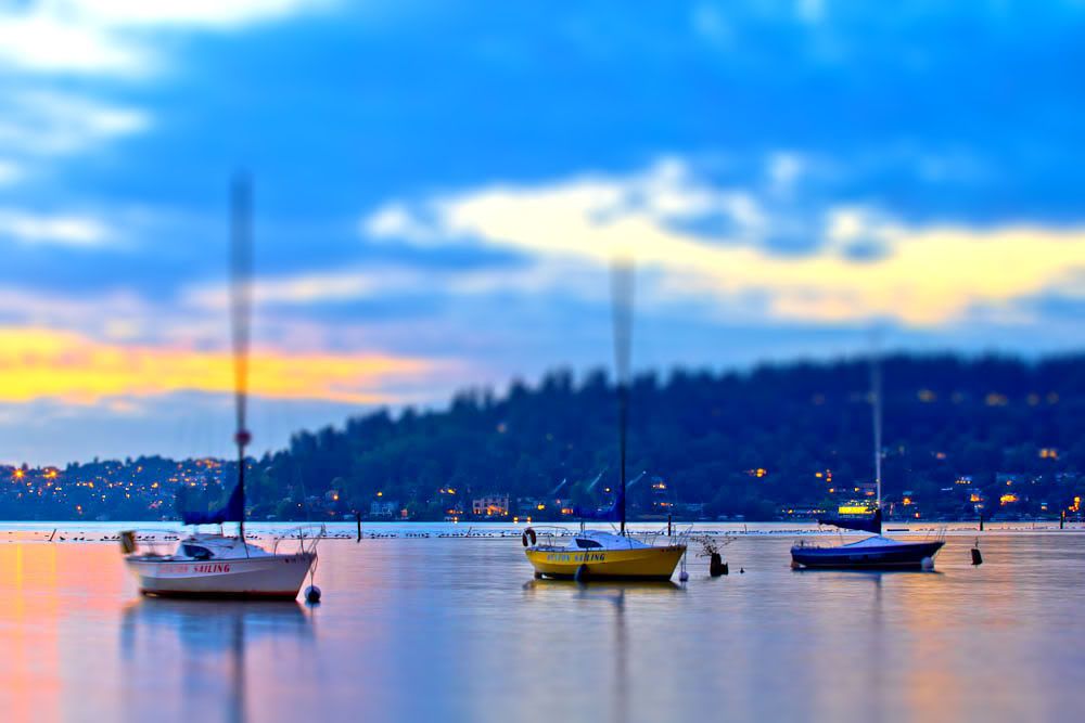 IMAGE: http://i568.photobucket.com/albums/ss130/rutlian/IMG_8845-tiltshift.jpg