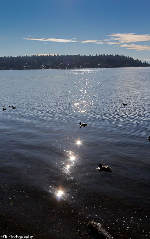 IMAGE: http://i568.photobucket.com/albums/ss130/rutlian/IMG_9837.jpg