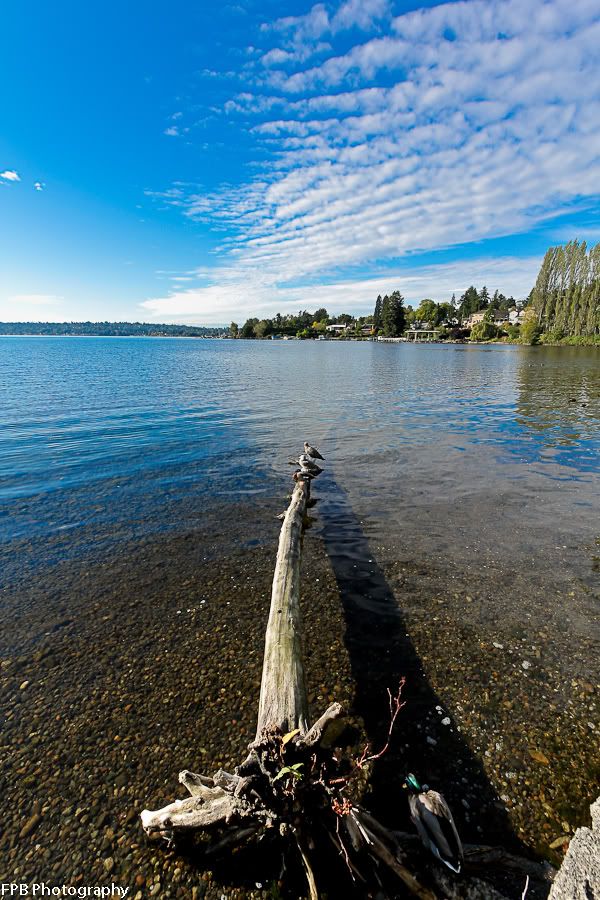 IMAGE: http://i568.photobucket.com/albums/ss130/rutlian/IMG_9839.jpg