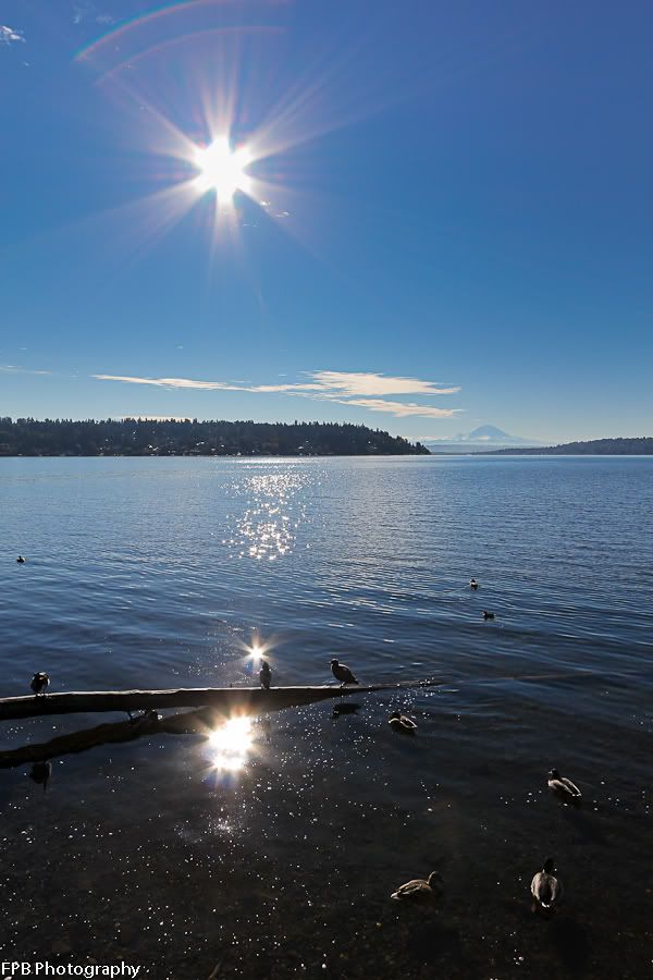 IMAGE: http://i568.photobucket.com/albums/ss130/rutlian/IMG_9840.jpg